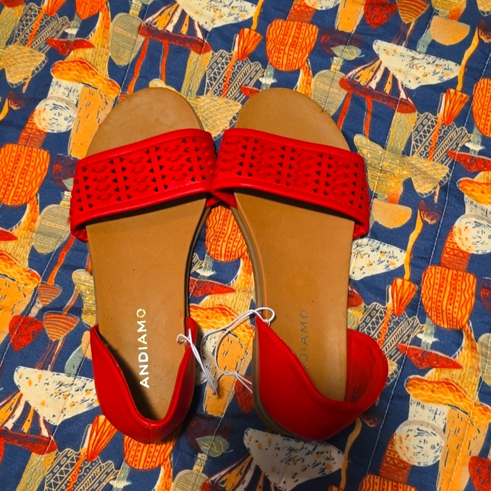 Size 6.5 Andiamo office shoes.